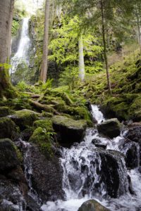 Bachlauf mit Wasserfall im Hintergrund, Schwarzwald